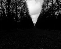 谁知道内部价的短信压力测试器免费网页版