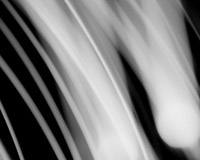 手机号在线轰炸