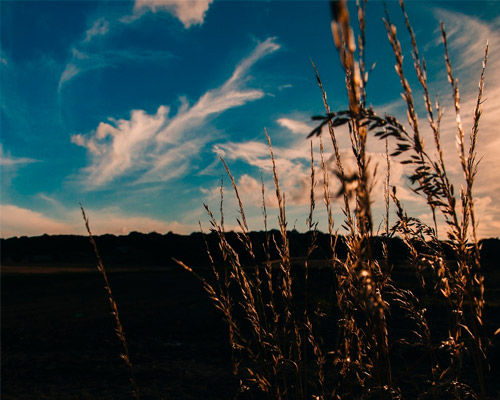 智能缓存管理的短信轰炸器