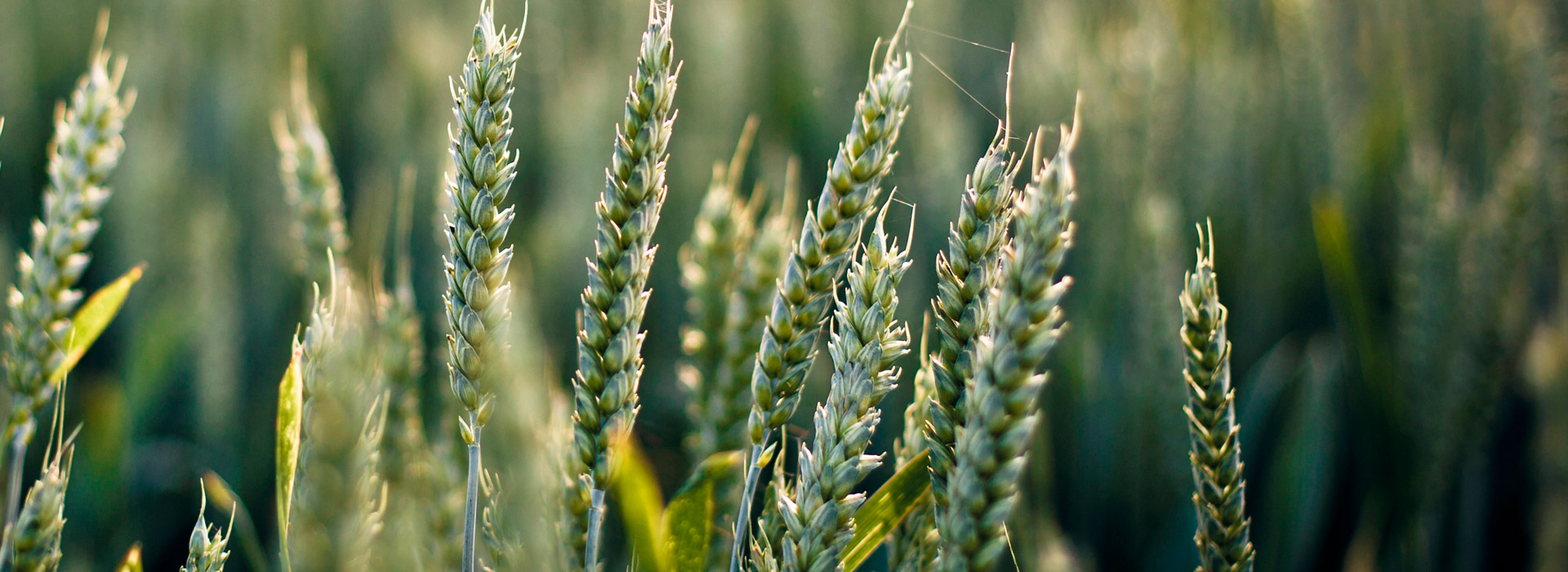 界面美观大方的电话群发平台