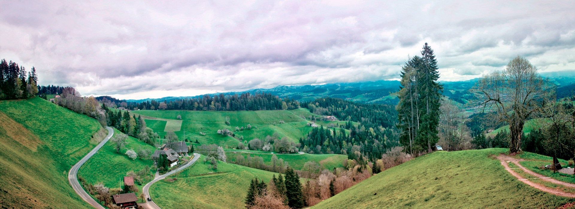 在线电话压力测试